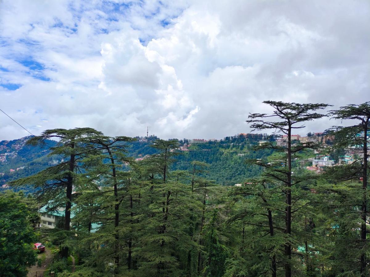 Magic Stays - Shimla Royale - Free Pickup From Railway Station Shimla Eksteriør billede